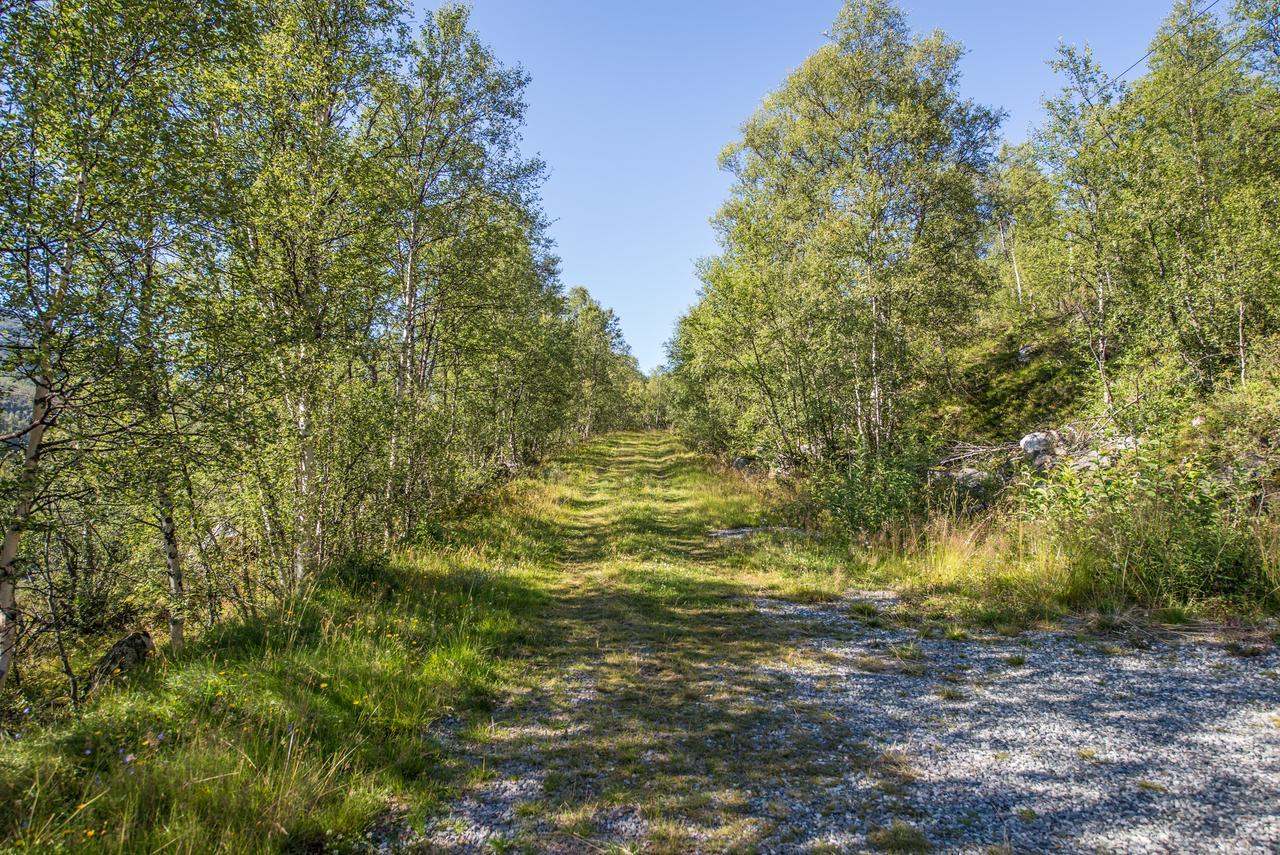 Maristuen Fjellferie Villa Borgund Dış mekan fotoğraf